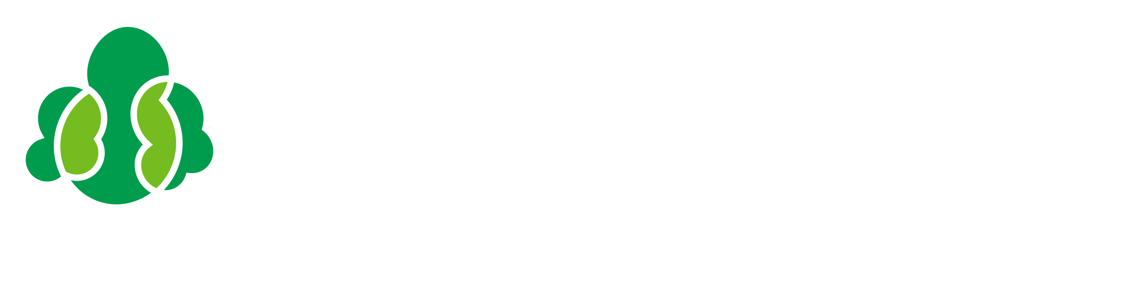 Pando Inception Inception Stream